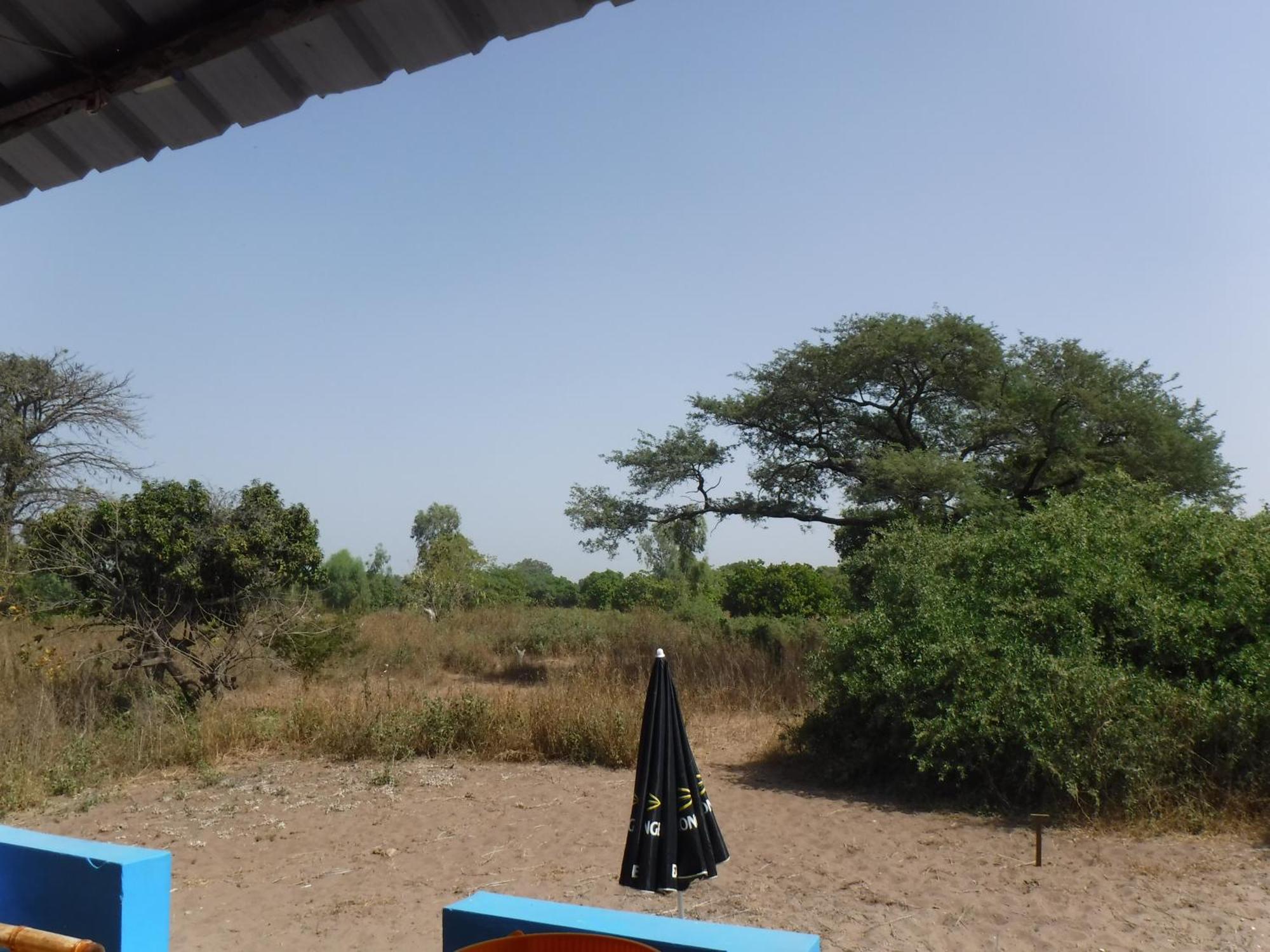 Jinack Lodge Jinack Island Екстер'єр фото